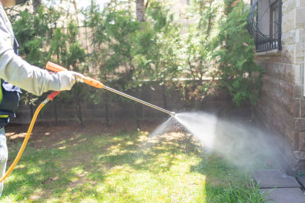 Best Bird Control  in Foscoe, NC