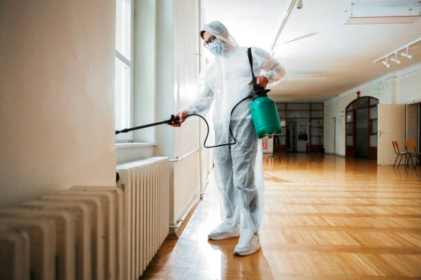 Best Wasp Removal Services  in Foscoe, NC